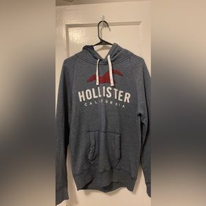 Hollister Mens Hoodie